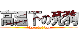 高温下の死狗 (like a hot dog)