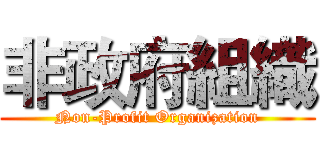 非政府組織 (Non-Profit Organization)
