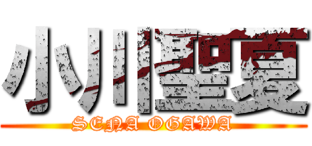 小川聖夏 (SENA OGAWA)