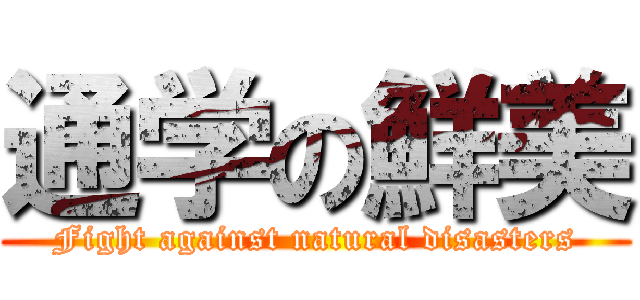 通学の鮮美 (Fight against natural disasters)