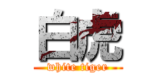白虎 (white tiger)