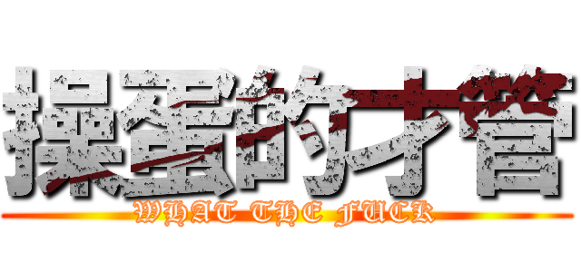 操蛋的才管 (WHAT THE FUCK)