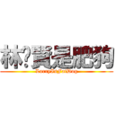 林灝賢是肥狗 (LarryIsFatDog)