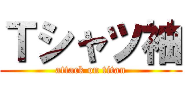 Ｔシャツ袖 (attack on titan)