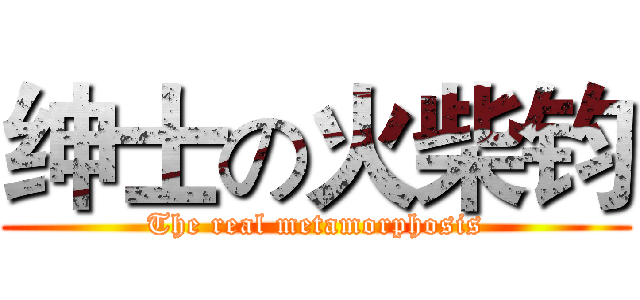 绅士の火柴钧 (The real metamorphosis)