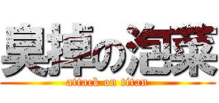 臭掉の泡菜 (attack on titan)