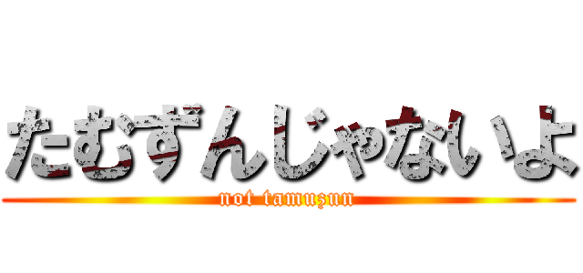 たむずんじゃないよ (not tamuzun)