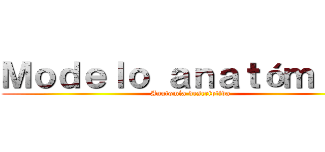 Ｍｏｄｅｌｏ ａｎａｔóｍｉｃｏ (Anatomía descriptiva)