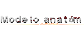 Ｍｏｄｅｌｏ ａｎａｔóｍｉｃｏ (Anatomía descriptiva)