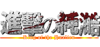 進擊の純澔 (King of the Hualien)