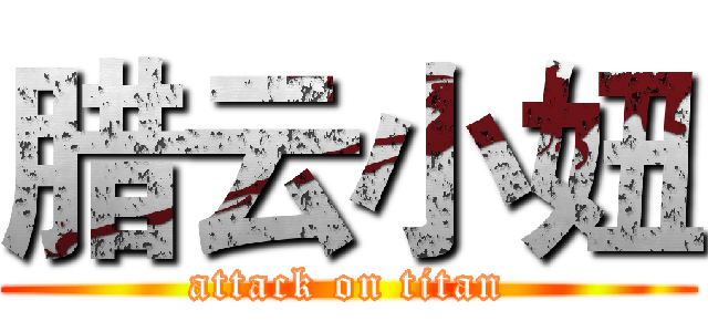 腊云小妞 (attack on titan)