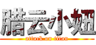 腊云小妞 (attack on titan)