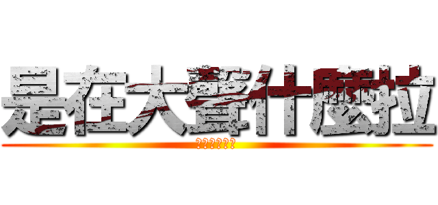 是在大聲什麼拉 (公道價八萬一)