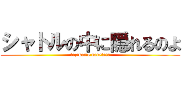 シャトルの中に隠れるのよ (tozikome rareta!?)
