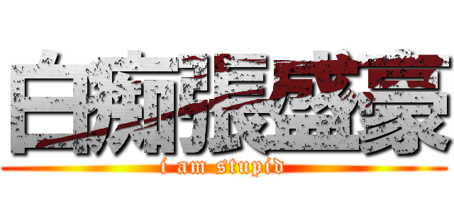 白痴張盛豪 (i am stupid)