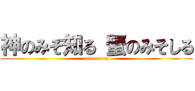 神のみぞ知る 蟹のみそしる (miso soap)