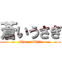 蒼いうさぎ (blue rabbit)