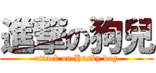 進撃の狗兒 (attack on Husky dog)