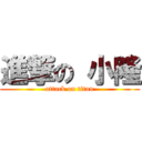 進撃の 小隆 (attack on titan)