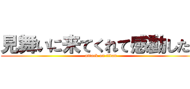 見舞いに来てくれて感動したぞ (attack on titan)