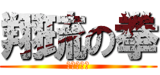 翔琉の拳 (闇夜の一撃)