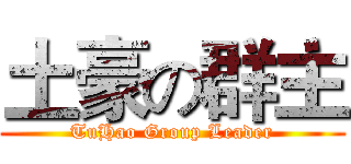 土豪の群主 (TuHao Group Leader)