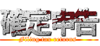 確定申告 (Filing tax returns )