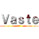 Ｖａｓｔｅ (范思特)