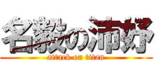 名毅の沛妤 (attack on titan)