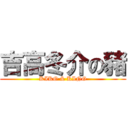 吉高冬介の豬 (KIKO & KING)