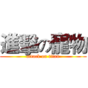 進擊の寵物 (attack on titan)