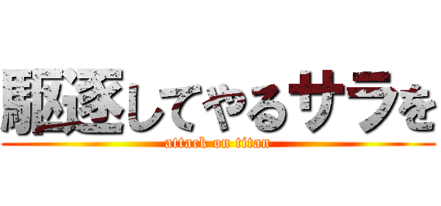 駆逐してやるサラを (attack on titan)