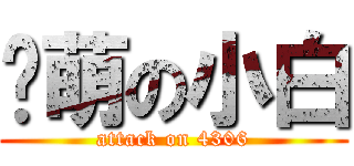 卖萌の小白 (attack on 4306)
