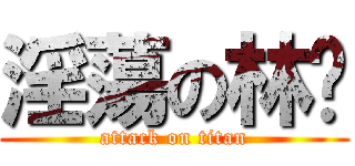 淫蕩の林玨 (attack on titan)