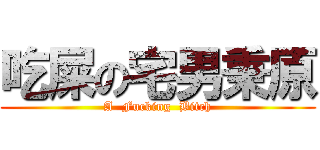 吃屎の宅男秉原 (A  Fucking  Bitch)