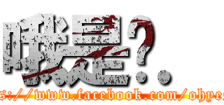 哦是ㄛ． (https://www.facebook.com/ohyesdk)