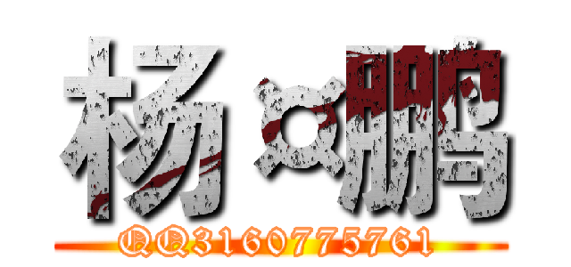 杨¤鹏 (QQ3160775761)