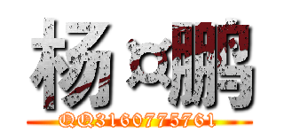 杨¤鹏 (QQ3160775761)