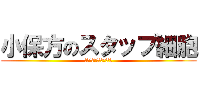 小保方のスタップ細胞 (スタップ細胞はあります！)