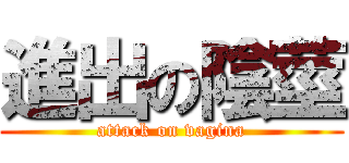 進出の陰莖 (attack on vagina)
