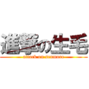 進撃の生毛 (attack on senmore)