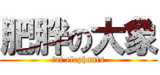 肥胖の大象 (fat elephants)