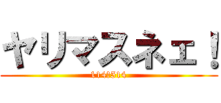 ヤリマスネェ！ (114　514)