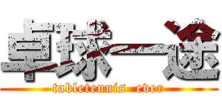 卓球一途 (tabletennis  ever)