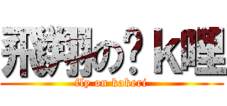 飛翔の卡ｋ哩 (fly on kakeri)