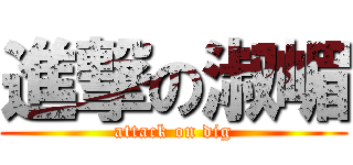 進撃の淑嵋 (attack on dig)