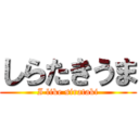 しらたきうま (I like sirataki)