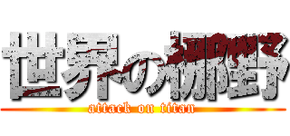 世界の梛野 (attack on titan)