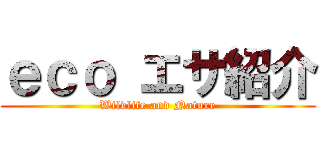 ｅｃｏ エサ紹介 (Wildlife and Nature)