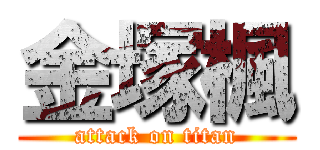 金塚楓 (attack on titan)